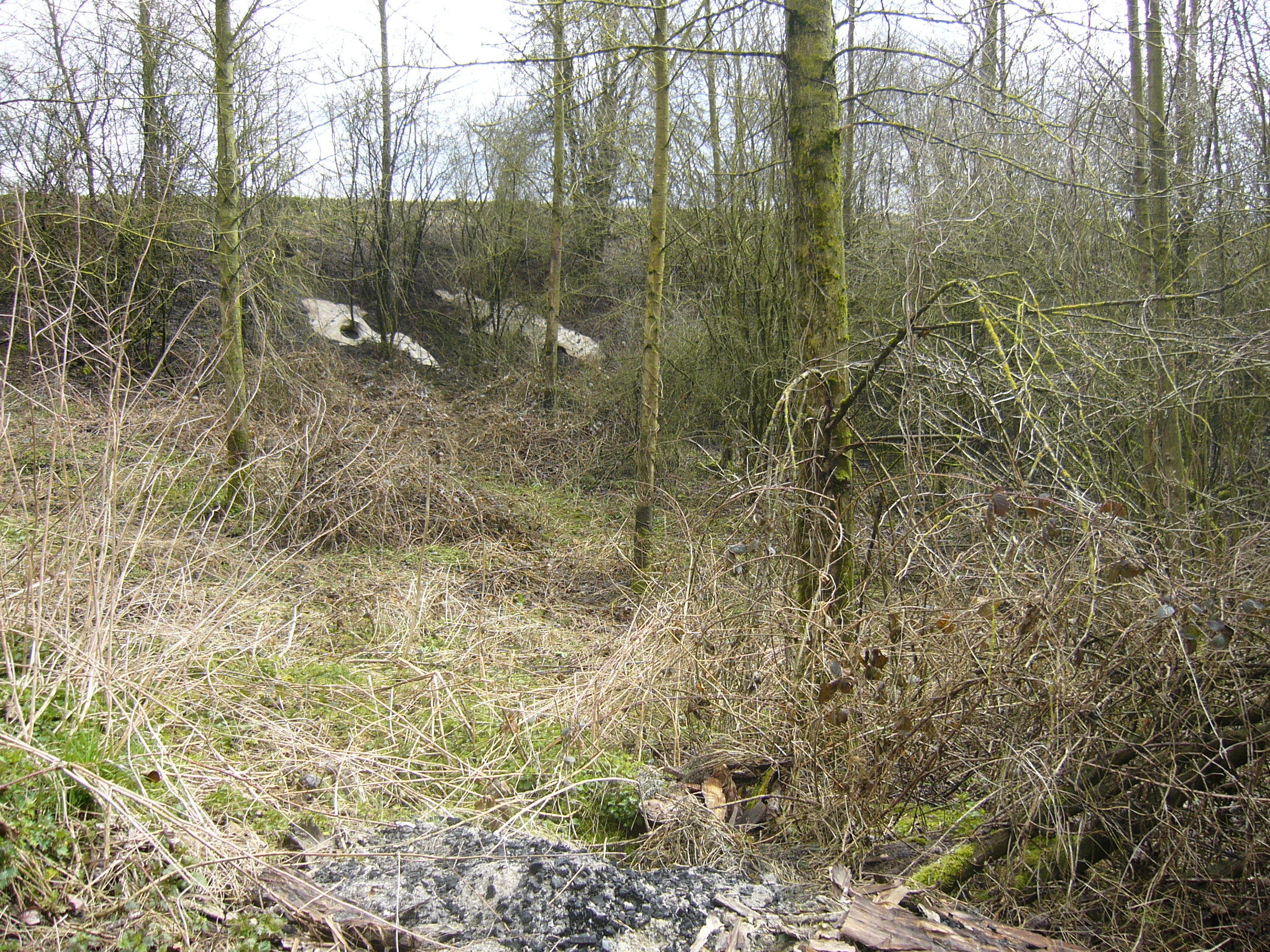 The Site Of The Granatloch Or Authuille Quarry, 2013